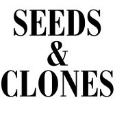 Seeds & Clones Affiliate Program