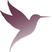 Plum Deluxe Tea Affiliate Program