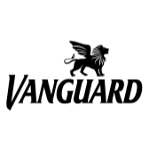 Vanguard NL logo