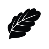 IOAKU BY FANNY EK icon