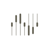 Traced (US) logo