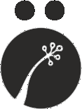 Ami Iyok logo