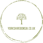 YorkshireBonsai logotyp