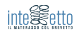 Dormiconintelletto logo