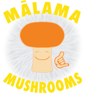 Malama Mushrooms Affiliate Program