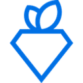 Rare Carat Affiliate Program