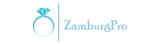 логотип Zamburg.pro