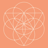 Elevate Ecommerce FZE Affiliate Program