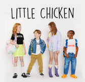 Little Chicken US Program