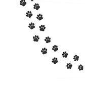 Pet Pharm Canada logo