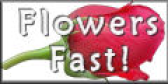 Flowers Fast.com-Send Flowers Same Day Delivery Coupons and Promo Code