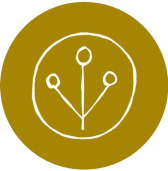 Lostine Affiliate Program